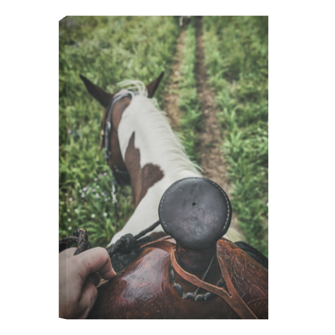 Horseback near Traverse City - Canvas