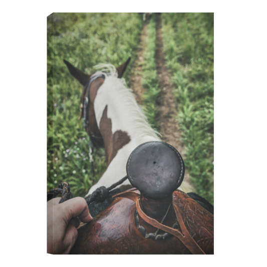 Horseback near Traverse City - Canvas