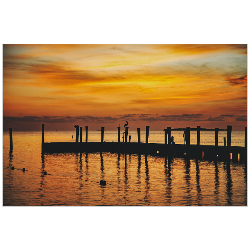 Florida Silhouette Sunset - 18x12 Print