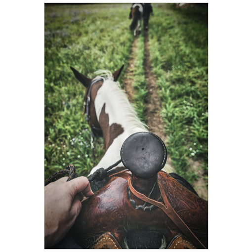 Horseback near Traverse City - 12x18 Print